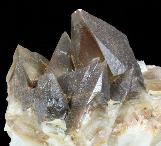Dogtooth Calcite Crystal Cluster - Morocco #57384